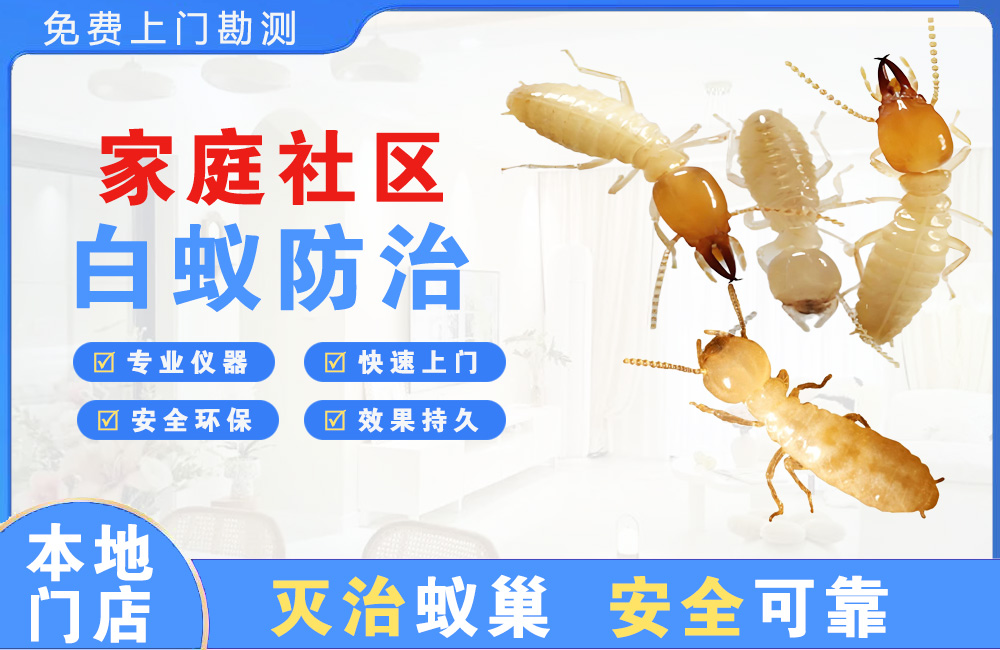 如皋家庭社区白蚁防治
