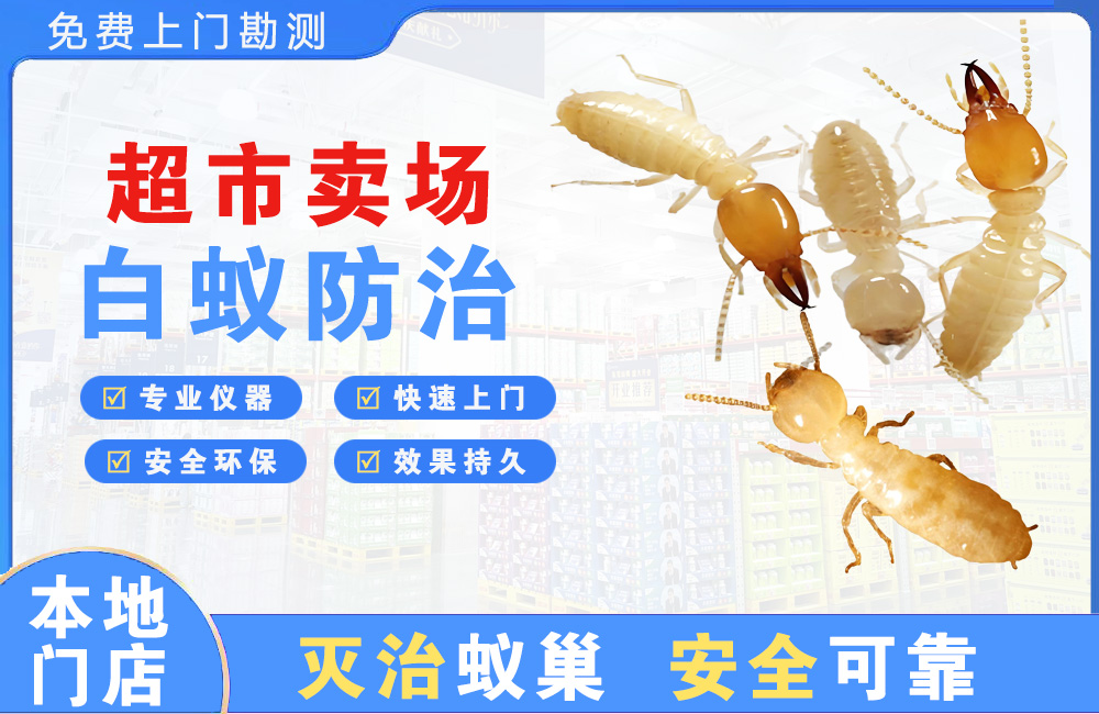 如皋超市卖场白蚁防治