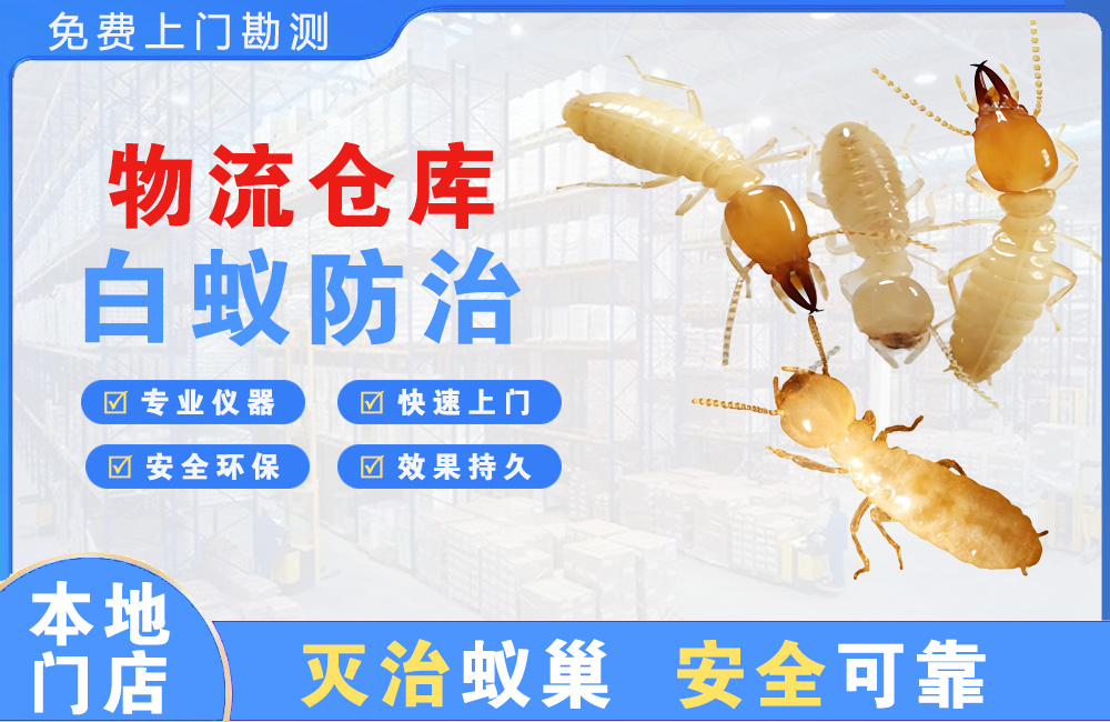 如皋物流仓库白蚁防治