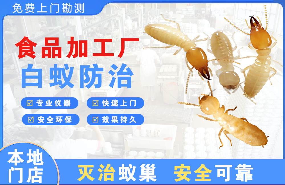 如皋食品加工厂白蚁防治