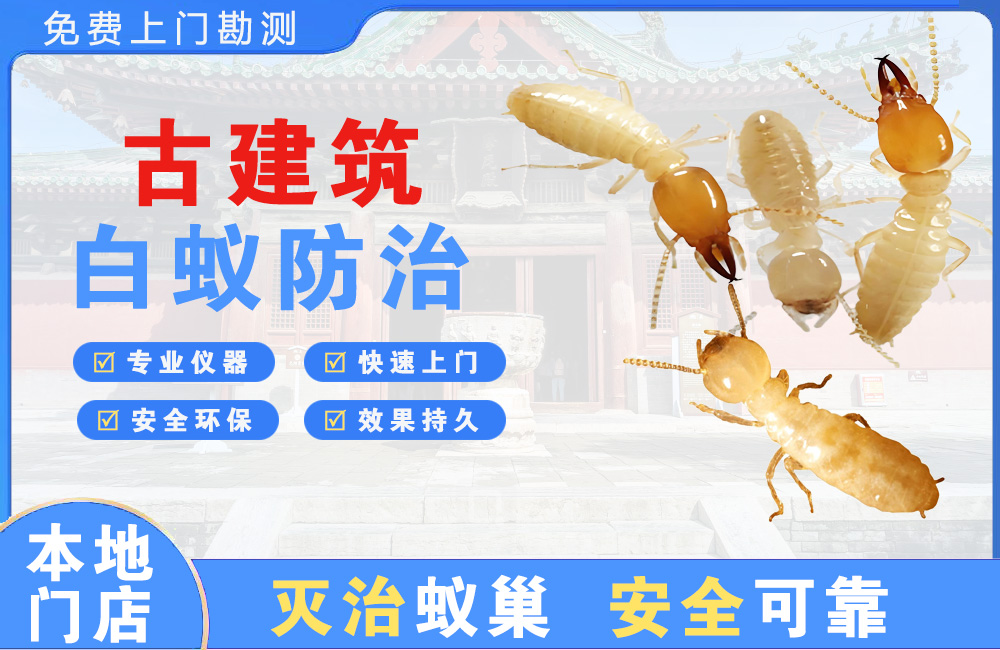 如皋古建筑白蚁防治