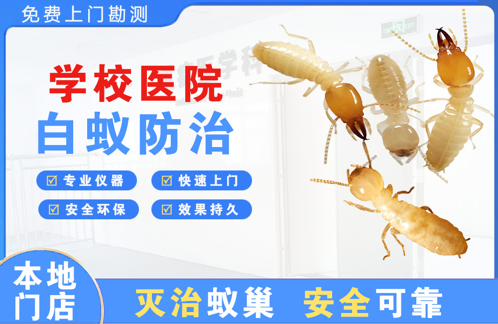 如皋学校医院白蚁防治
