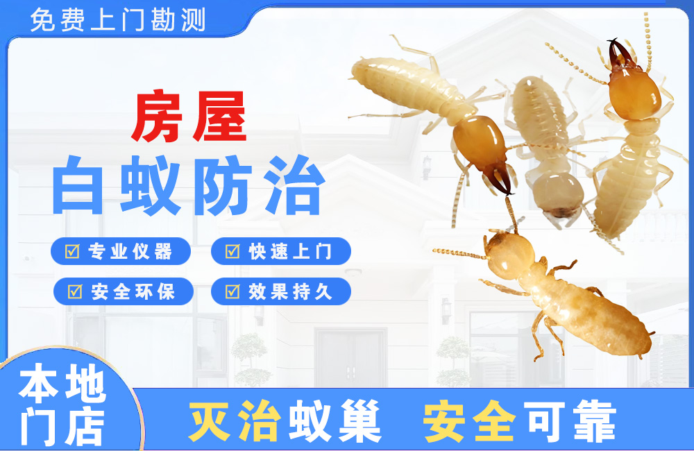 如皋房屋白蚁防治